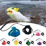 Long cable bird harness leash