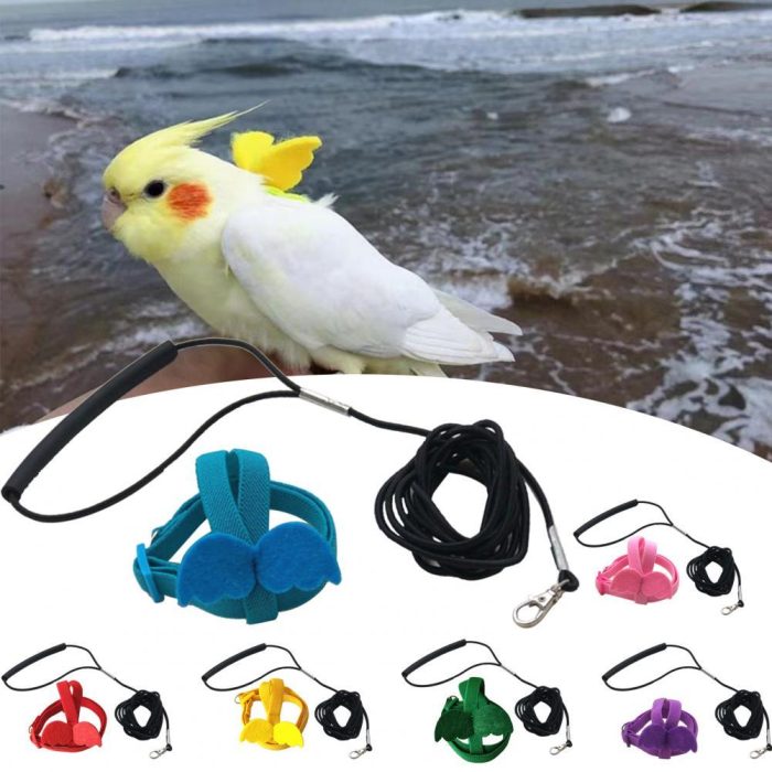 Long cable bird harness leash