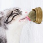 Natural catnip cat wall stick-on ball toy treats healthy natural removes hair balls to promote digestion cat grass snack pet