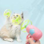 Interactive teaser cat toy.