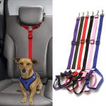Pet hand holding rope, retractable safety belt