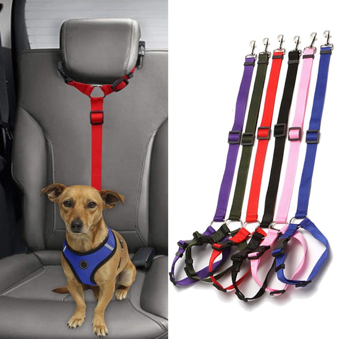 Pet hand holding rope, retractable safety belt