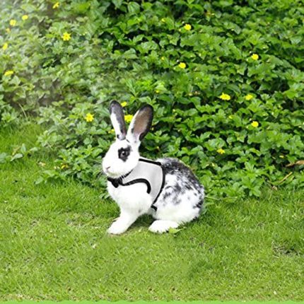 Rabbit harnesses and vest leashes set