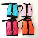 Rabbit harnesses and vest leashes set