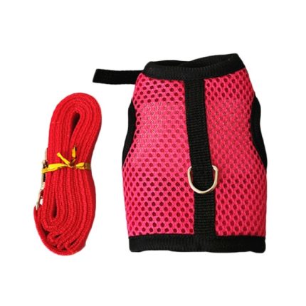 Rabbit harnesses and vest leashes set