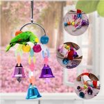 Bird accessories