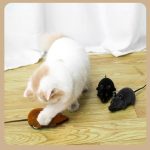 Remote control mouse cat toy