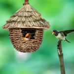 Charming decorative hummingbird house