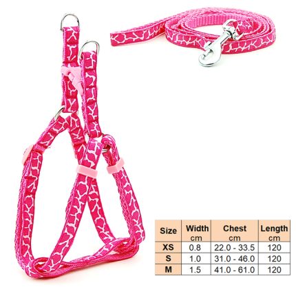 Small dog leash harness