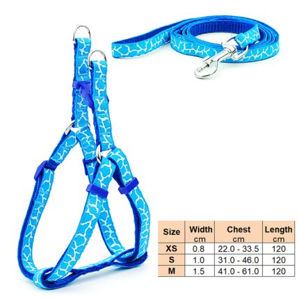 Small dog leash harness