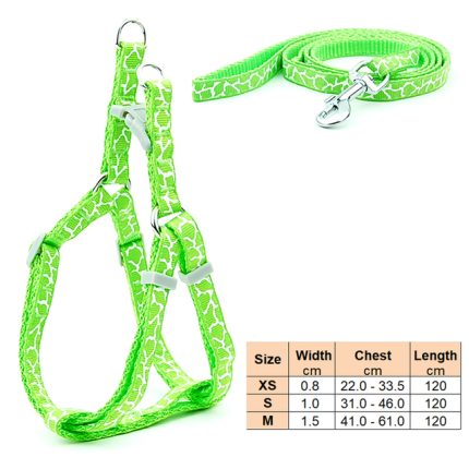 Small dog leash harness