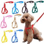 Small dog leash harness