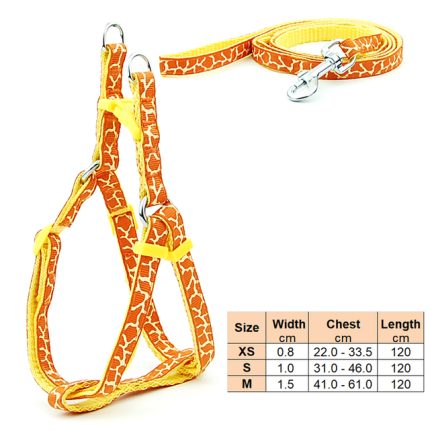 Small dog leash harness