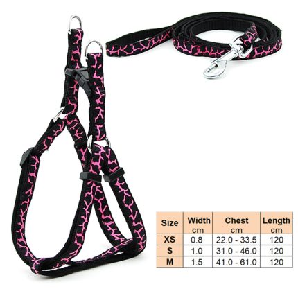 Small dog leash harness