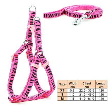 Small dog leash harness