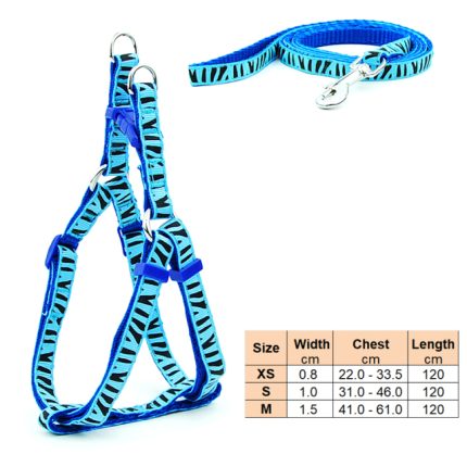 Small dog leash harness