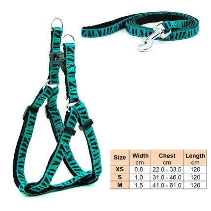 Small dog leash harness
