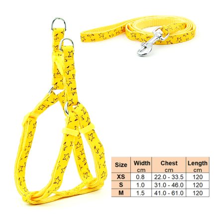 Small dog leash harness