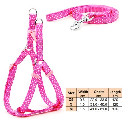 Small dog leash harness