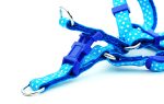 Small dog leash harness