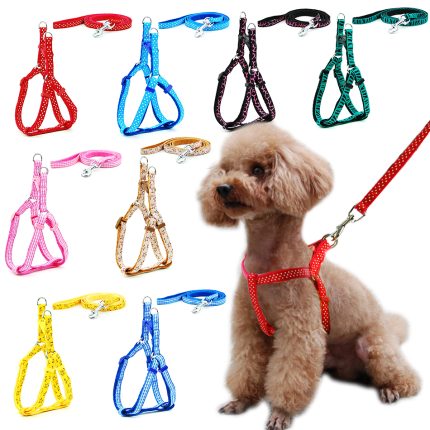 Small dog leash harness