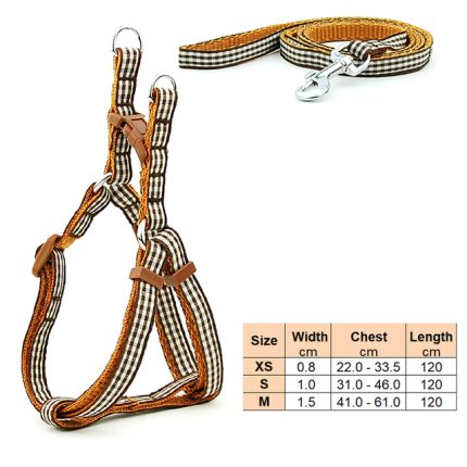 Small dog leash harness