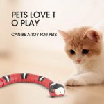 Moving snake cat toy.