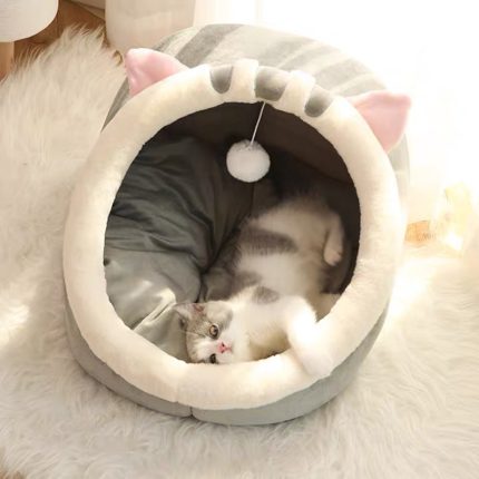 Sweet cat bed