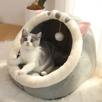Sweet cat bed