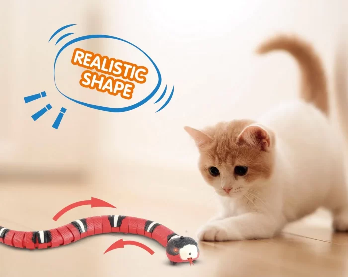 Moving snake cat toy.