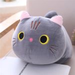 25cm grey