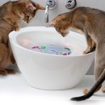 Cat interactive electric fish toy water cat toy for indoor play swimming robot fish toy for 4
