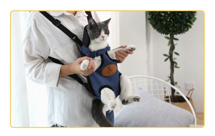 Cat carrier bag