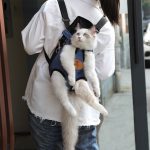 Cat carrier bag