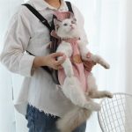 Cat carrier bag